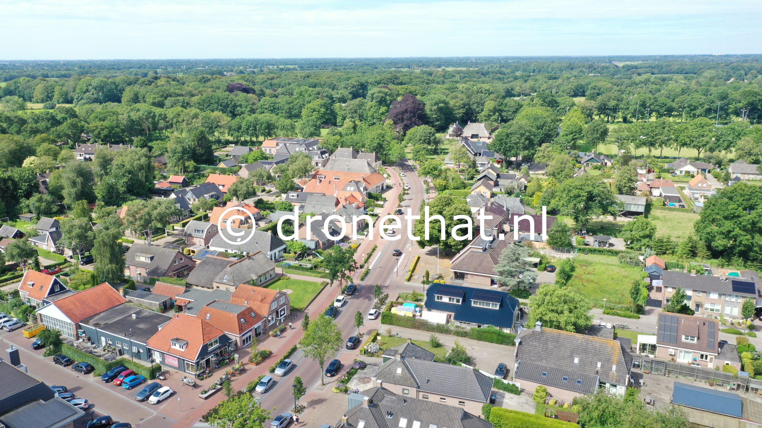 De Wijk - Dorpsoverzicht