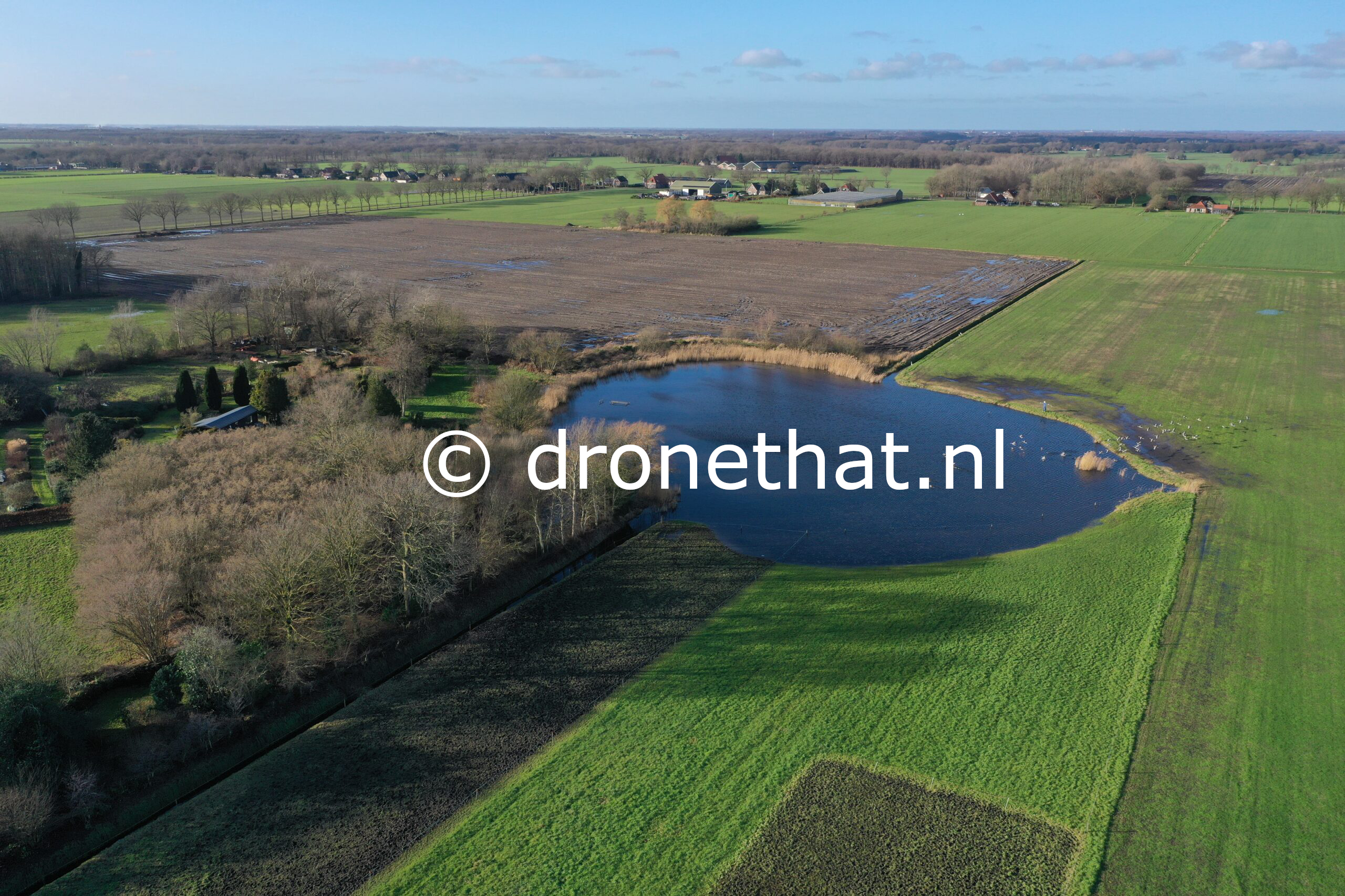 De Pol - Vijver en weiland