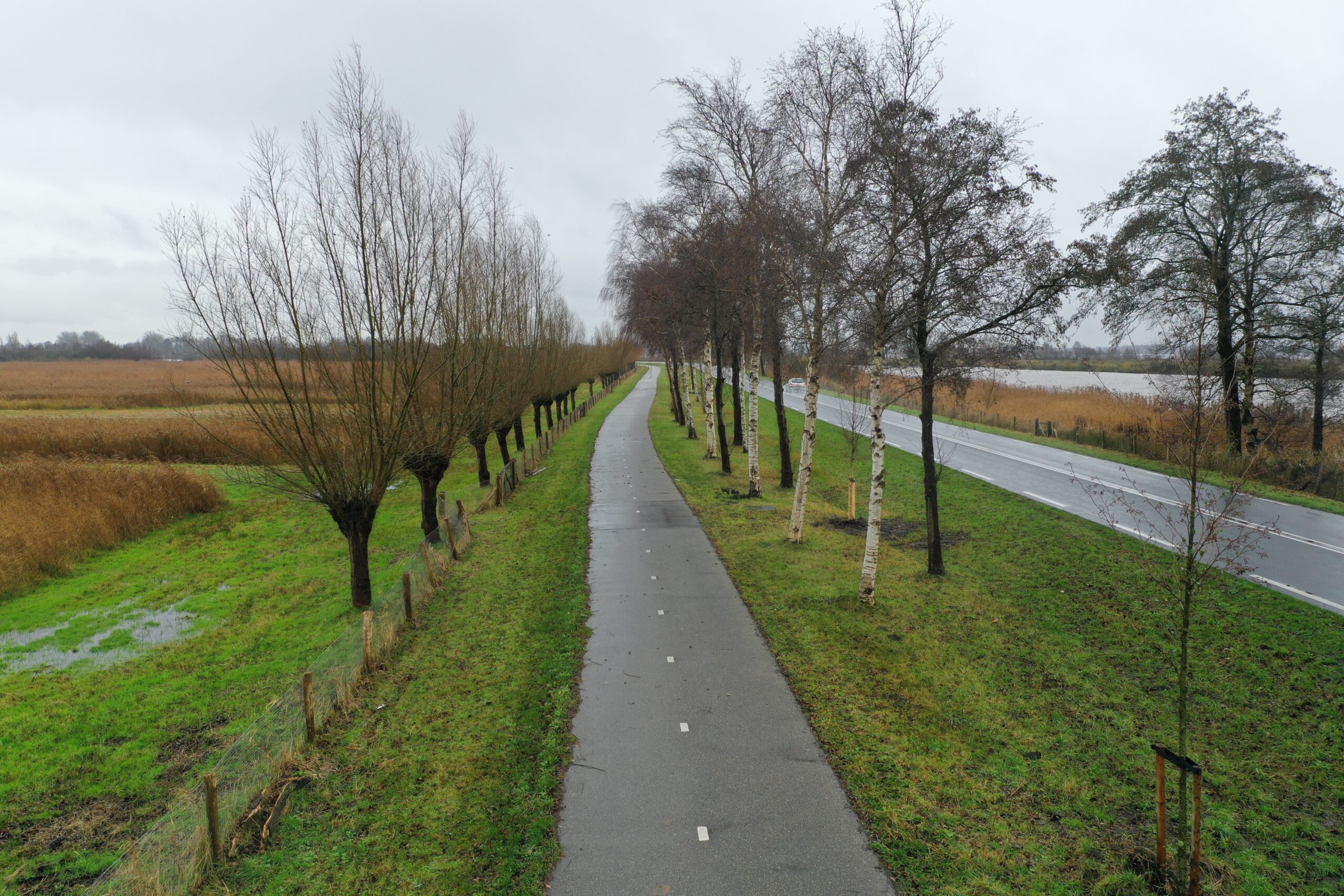 Giethoorn - Wilgen
