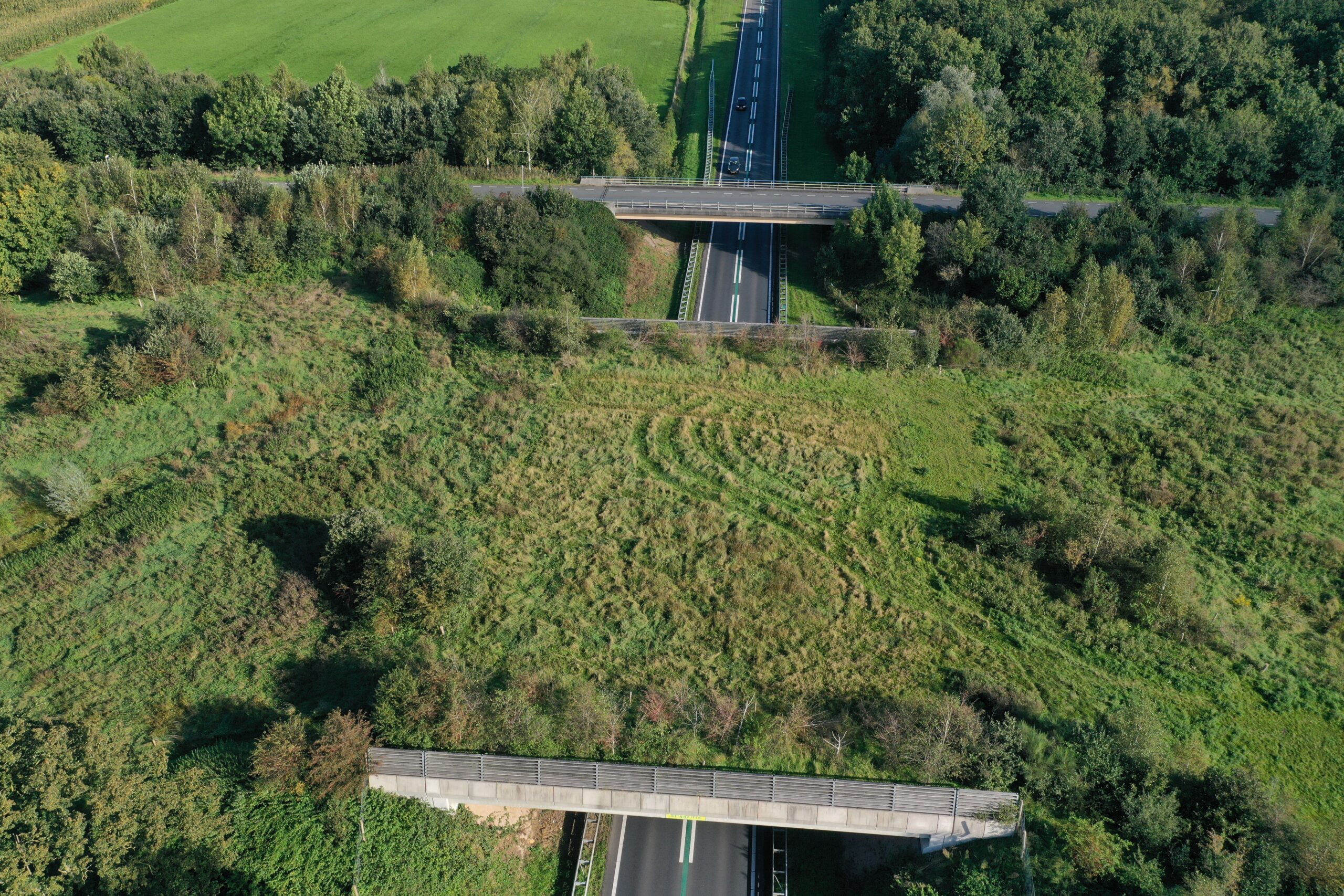 Zuidwolde - Ecoduct Stiggeltie