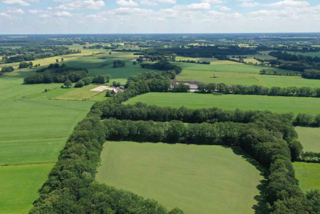 Broekhuizen - Bovenboerseweg