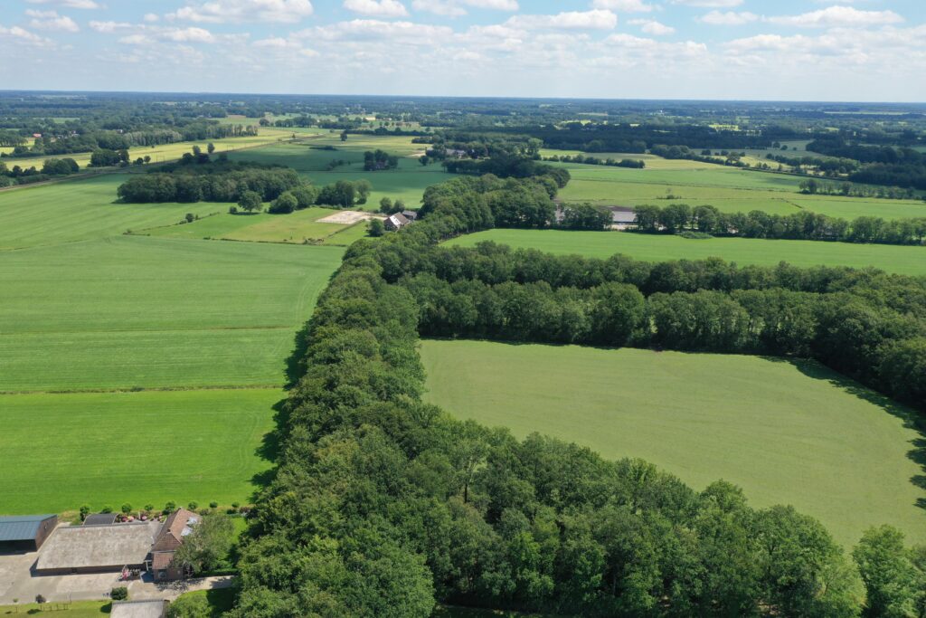 Broekhuizen - Bovenboerseweg