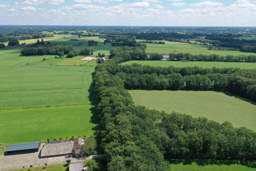 Broekhuizen - Bovenboerseweg