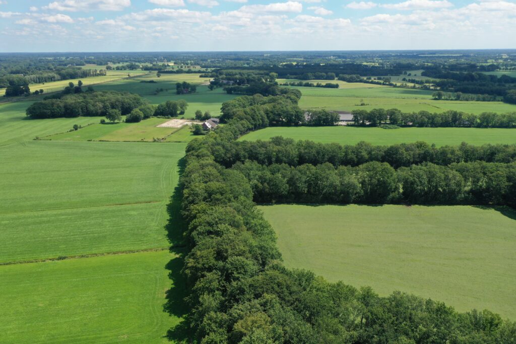 Broekhuizen - Bovenboerseweg