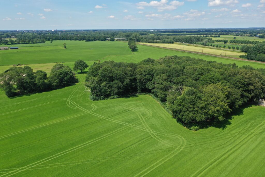 Broekhuizen - Bovenboerseweg