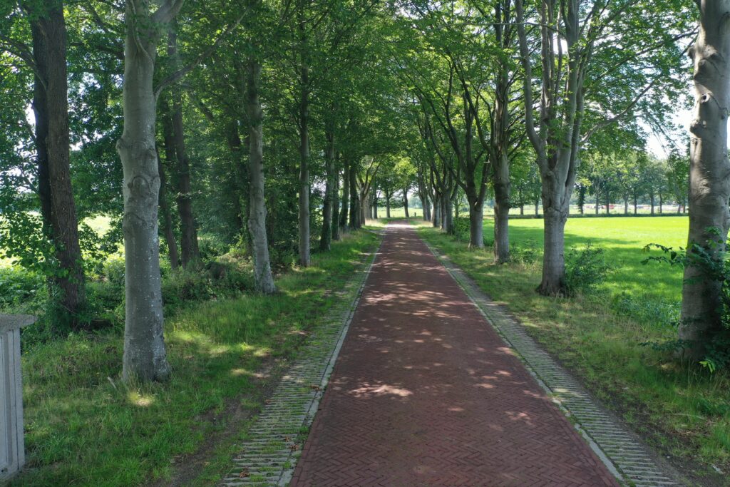 Broekhuizen - Bovenboerseweg