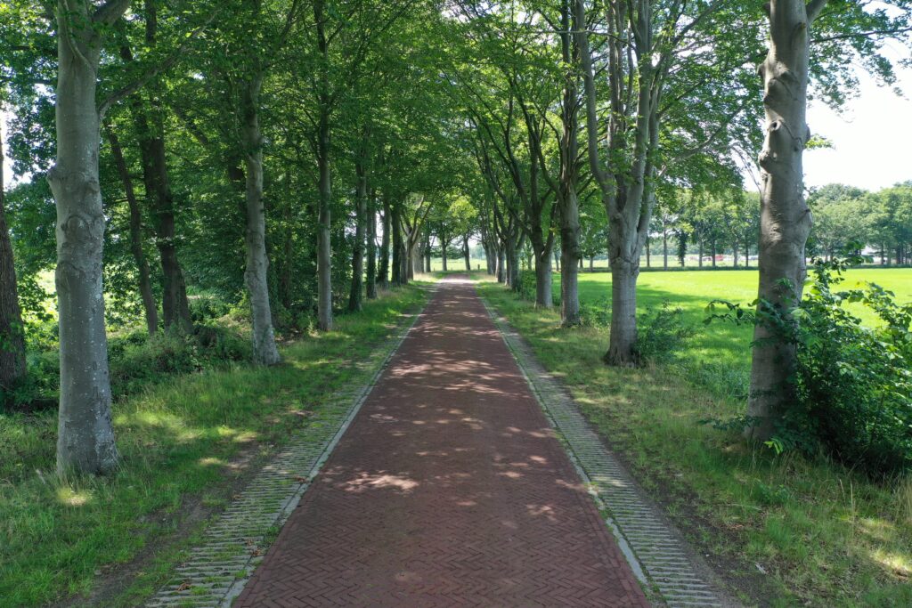 Broekhuizen - Bovenboerseweg