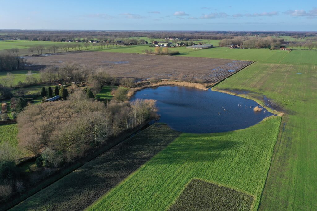 De Pol - Vijver en weiland