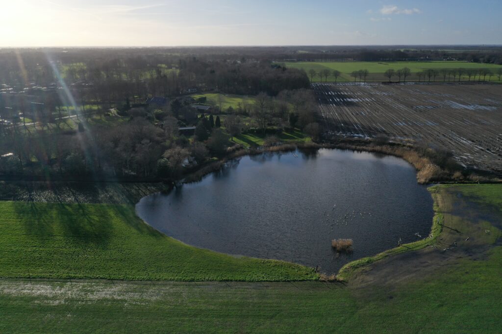 De Pol - Vijver en weiland
