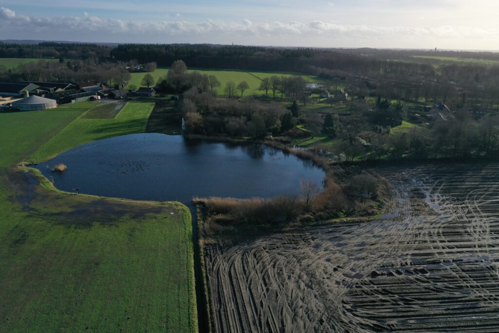 De Pol - Vijver en weiland