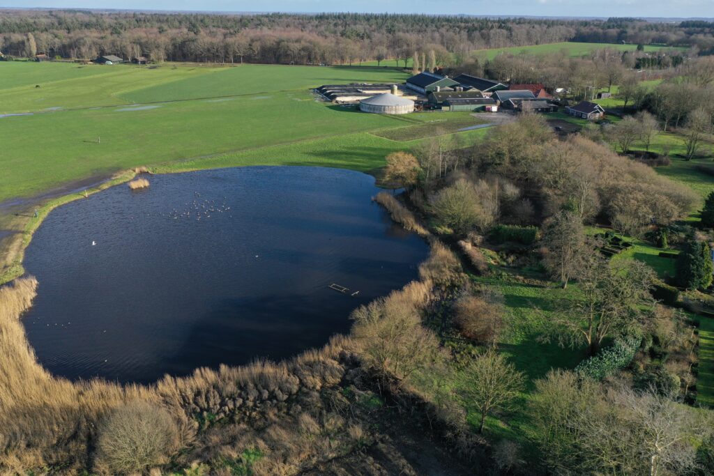 De Pol - Vijver en weiland